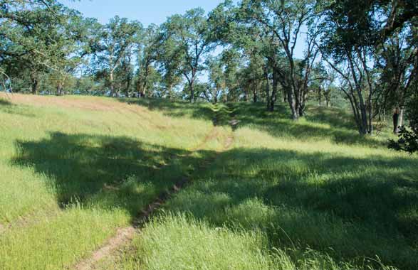 A vast network of improved bikeways and paths will lead through picturesque Folsom Ranch landscapes.